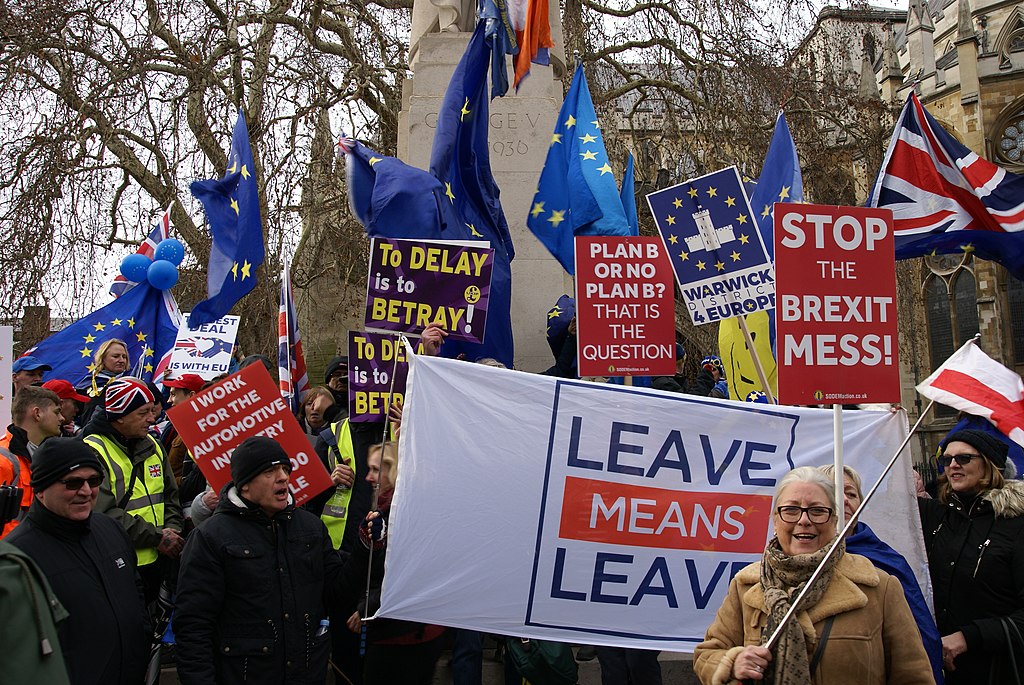 Brexit Demonstrators