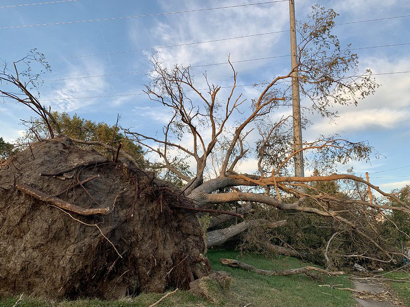 Iowa Derecho