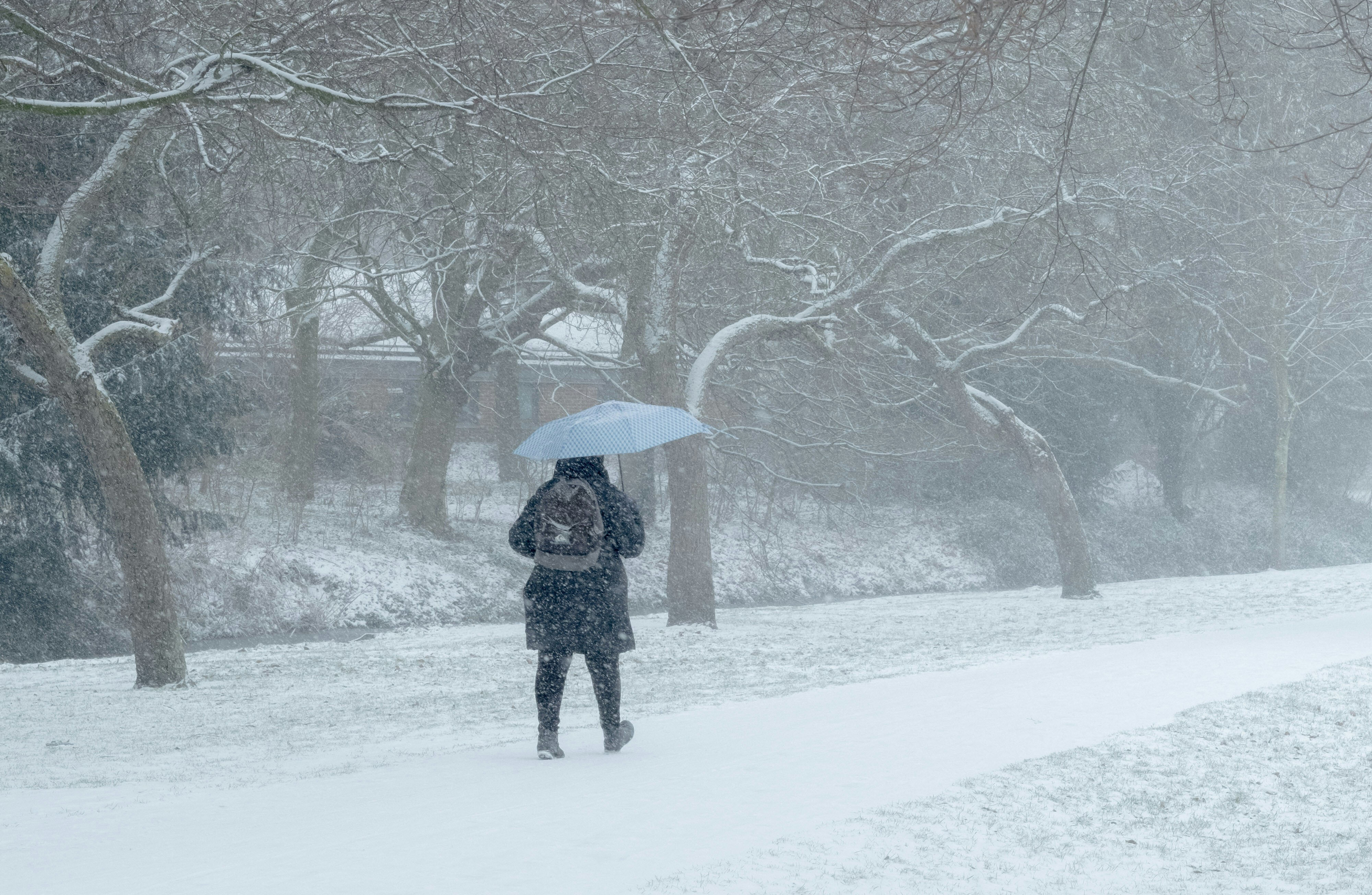 person walking in the snow