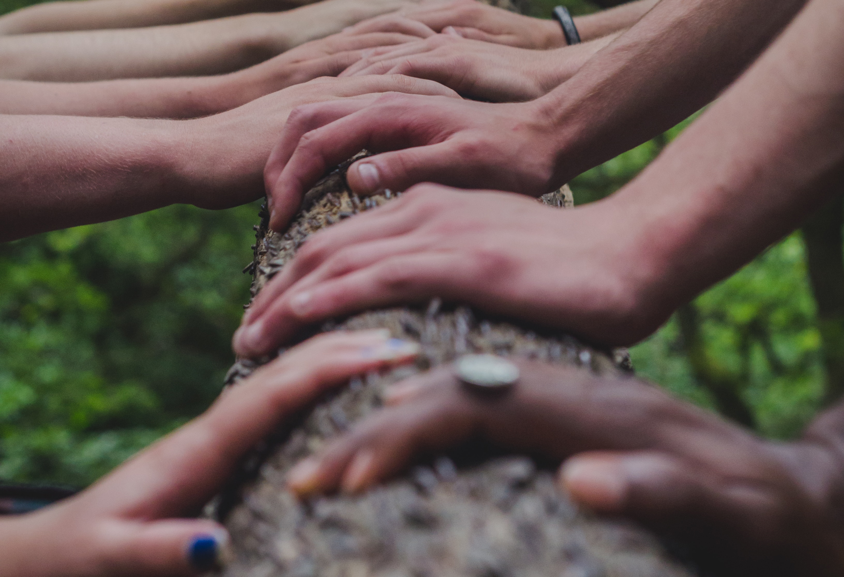 Hands on a tree trunk